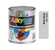 Alkyton lesklá strieborná R9006 250ml*                                                                                                                                                                  